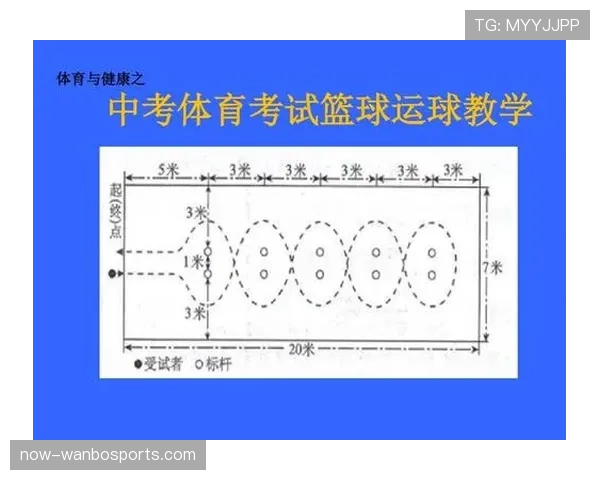 篮球运球规则的合法动作与违例判定解析